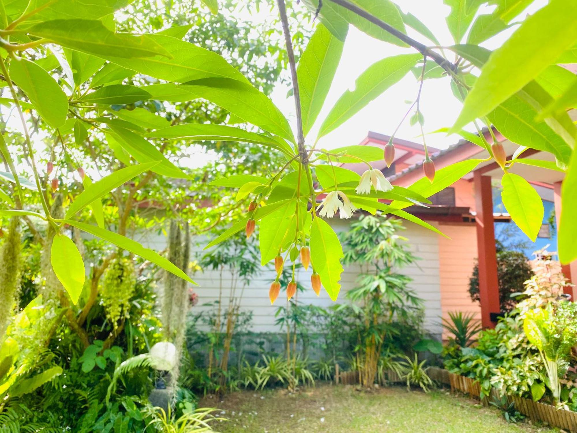 Baan Longhaad Hostel Koh Lanta Exterior photo